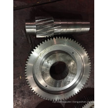 High Quality Gear Wheel and Gear Shaft for Reduction Gears